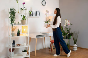Organizing Your Home with your own Style