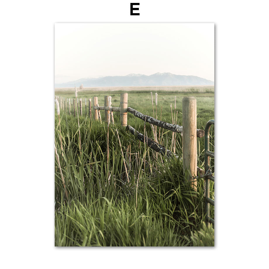 e942eac245d3a97179e77fbbe2129ab9